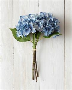 Bunch Hydrangea, Blue