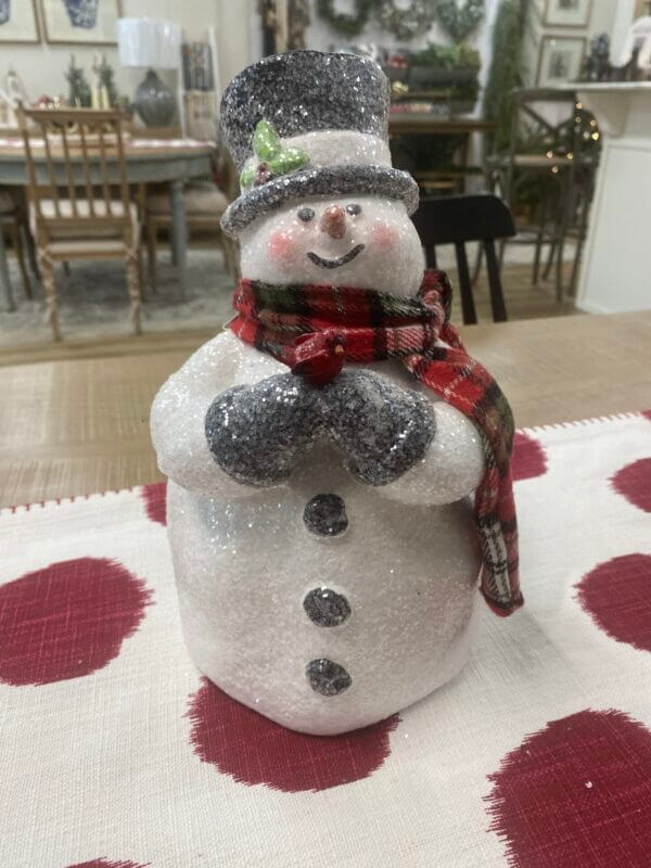 Snow Man With Red Bird